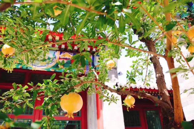 北京教育機構(gòu)招生簡章印刷